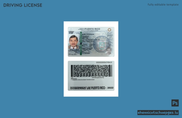 Beispielvorschau für den Führerschein von Puerto Rico (2022 bis heute)